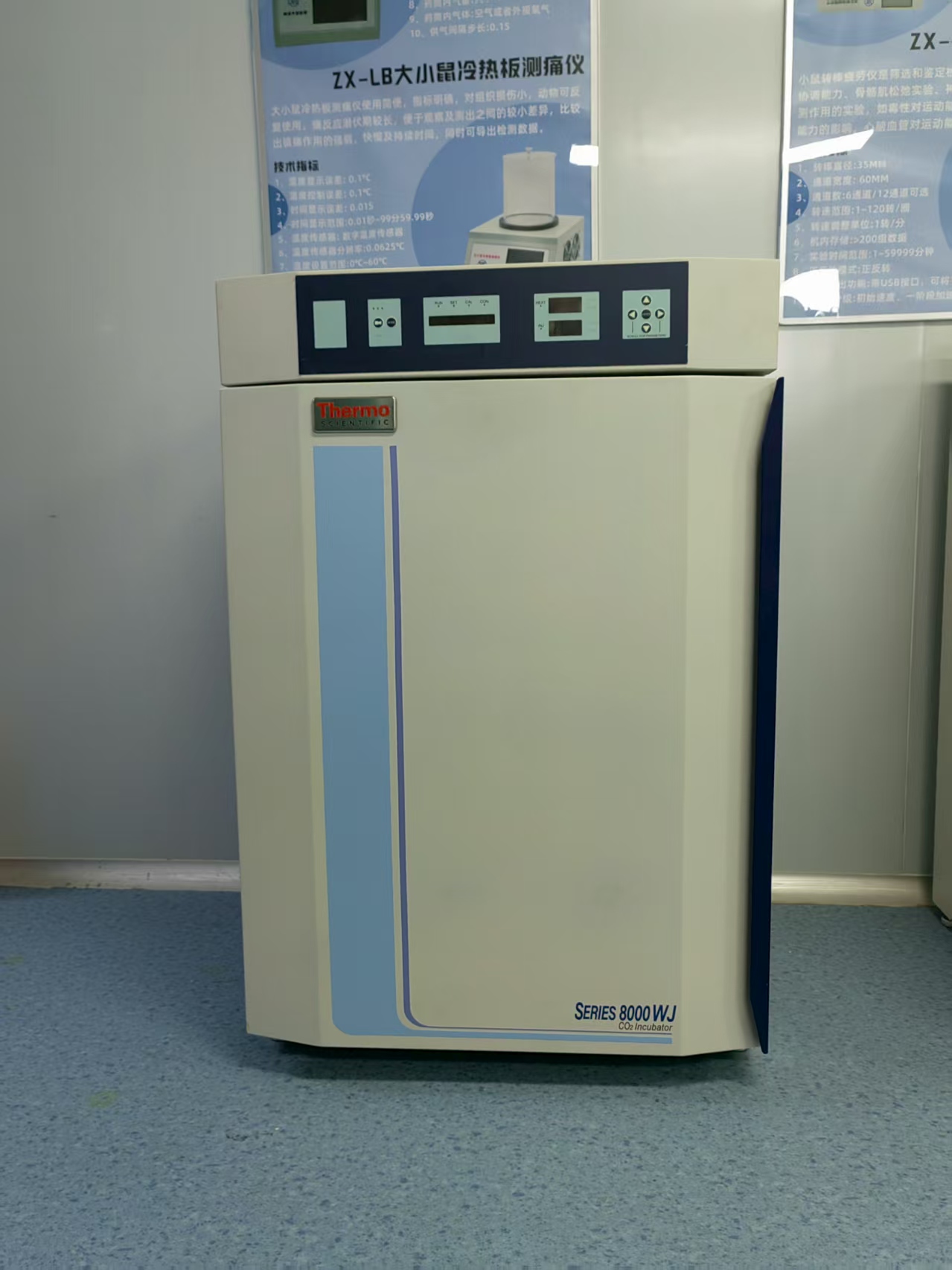 赛默飞 CO2 培养箱 三气培养箱